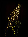 204 - NET VISION - ATANCE SALVADOR - spain <div